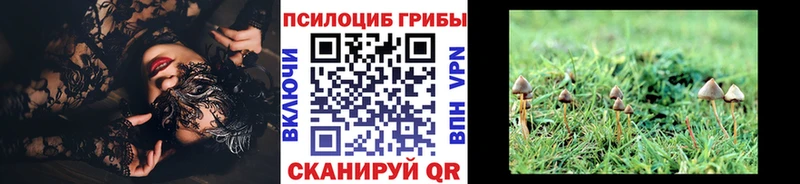 наркота мориарти наркотические препараты Псилоцибиновые грибы мицелий Усолье-Сибирское